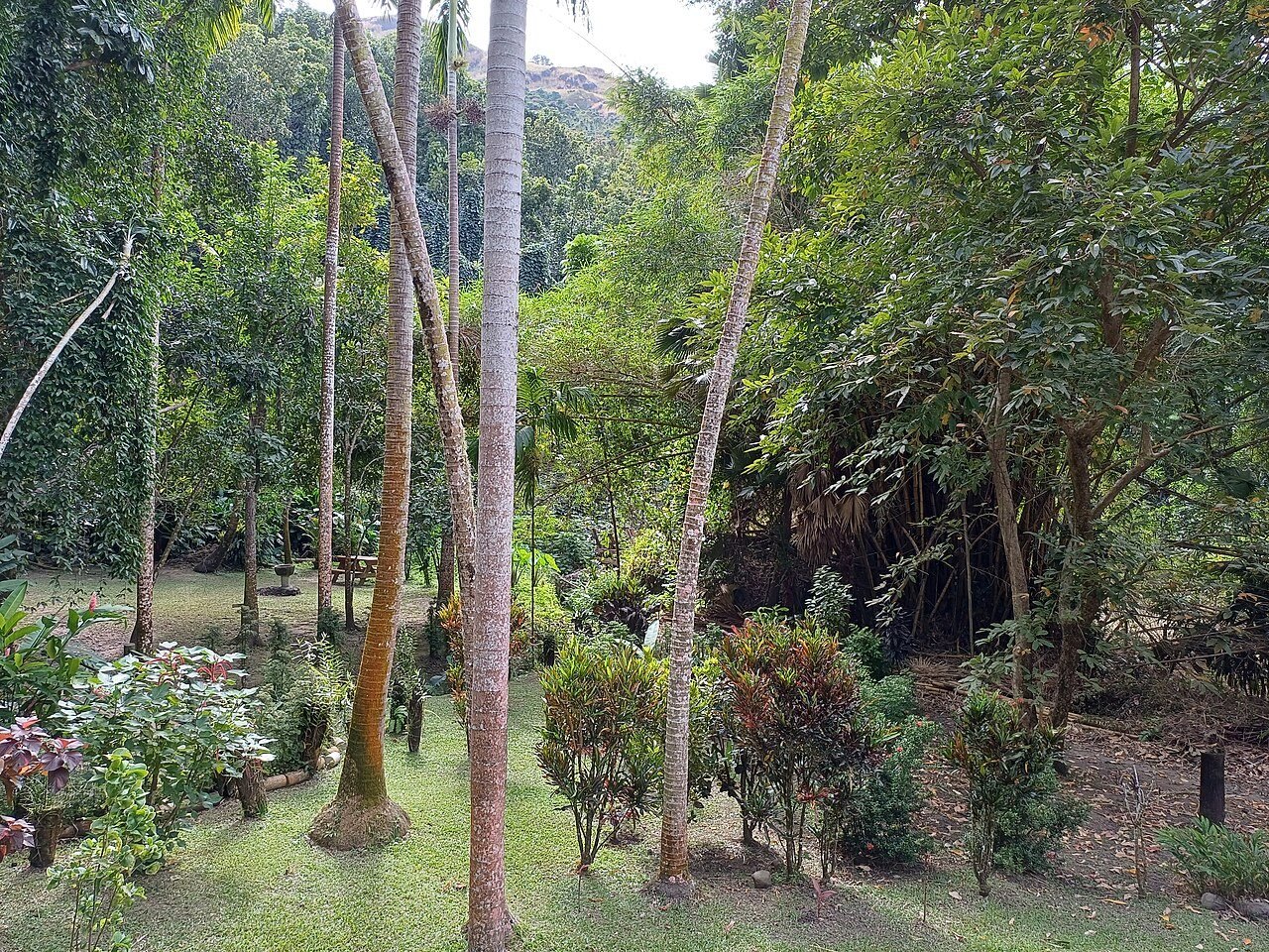 Lawns, palms and flower beds at the Garden of the Sleeping Giant