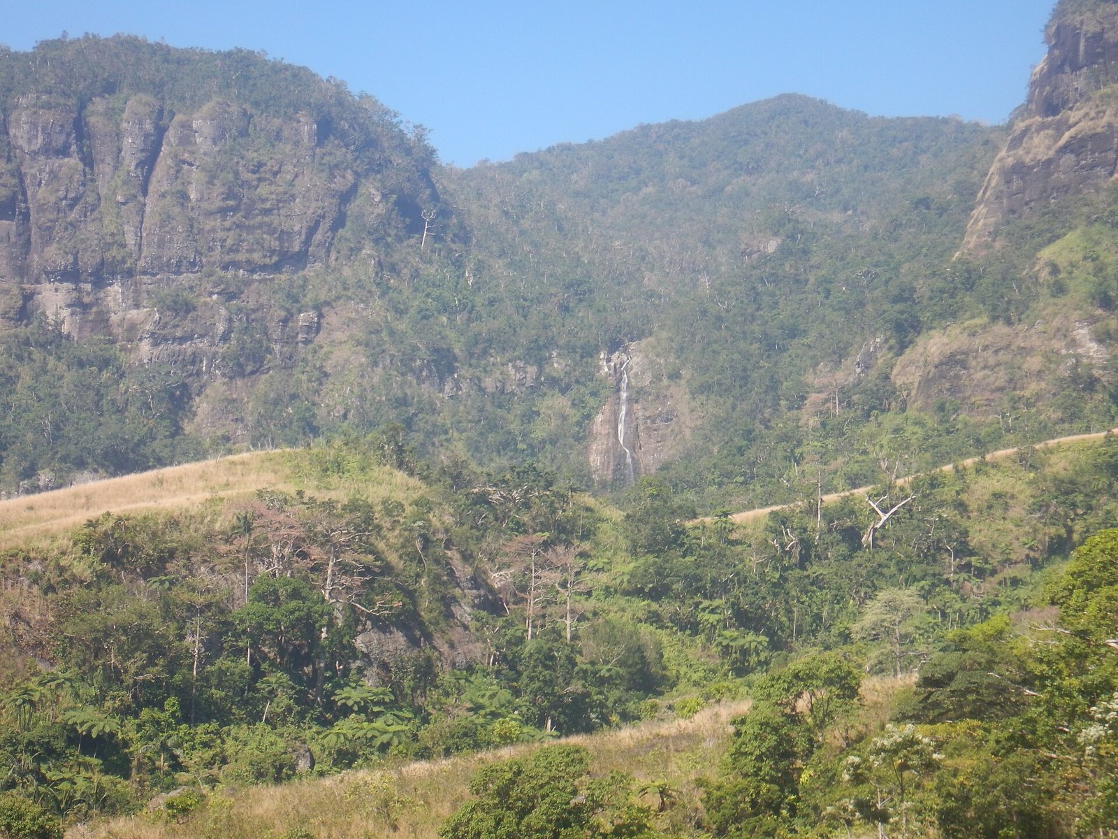 Forested valley and cliffs in Koroyanitu National Heritage Park