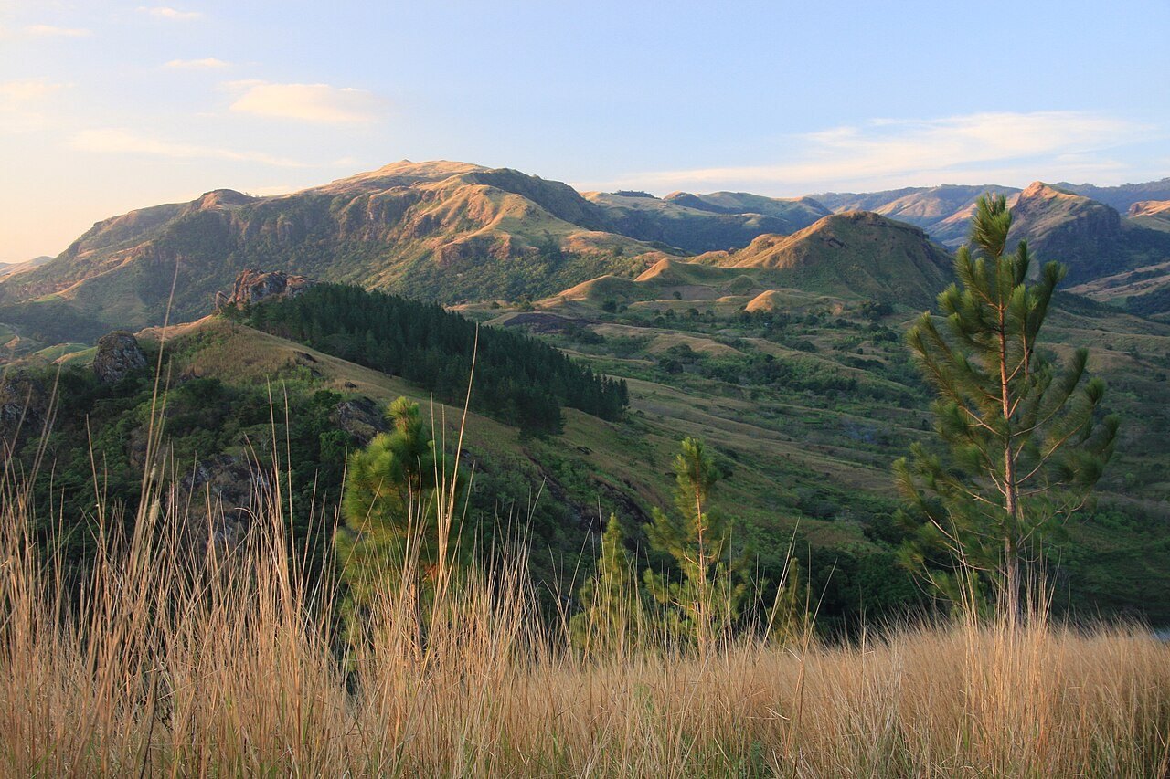 Golden grass and green ridges in the Nausori Highlands