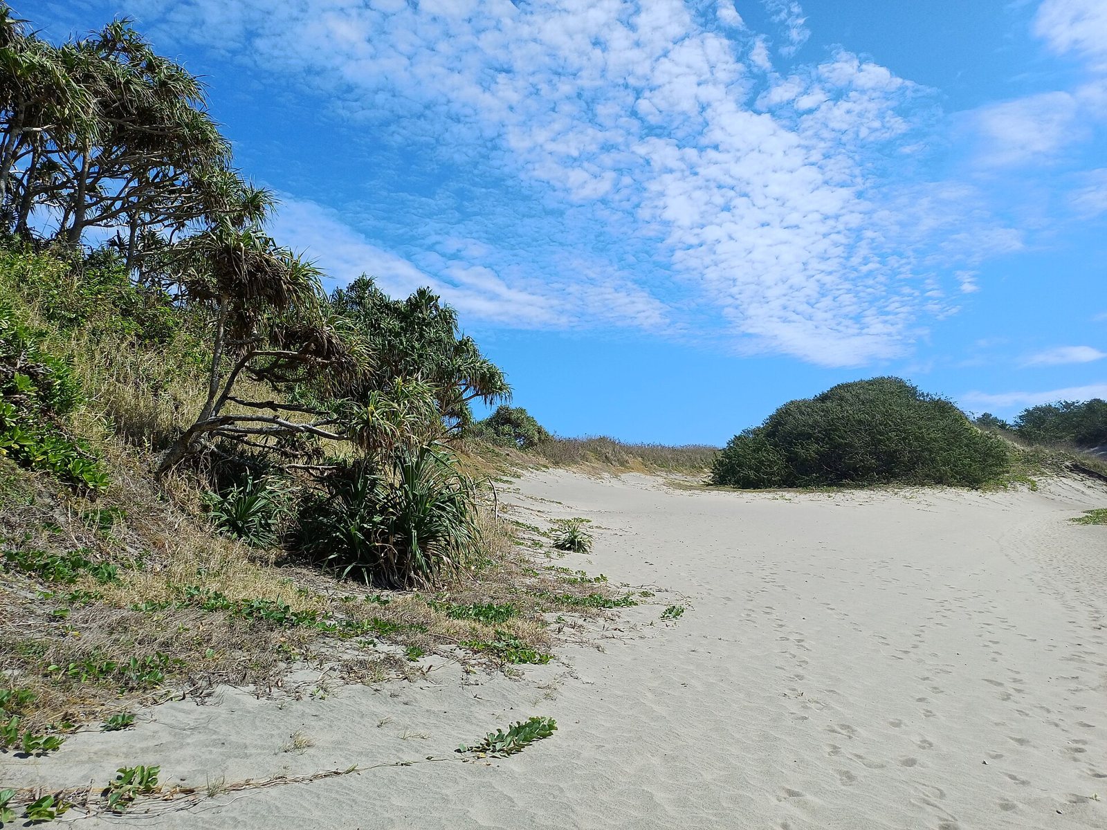Wind-carved sand dunes above the surf on Fiji's south coast
