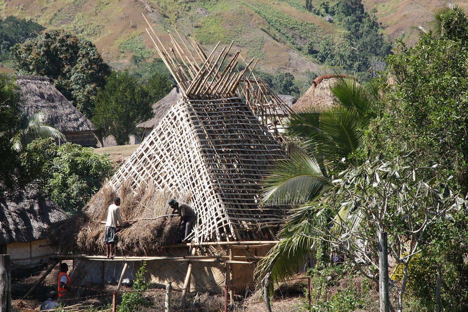 Re-thatching a bure roof in the highlands